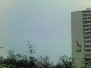 Berlin2go