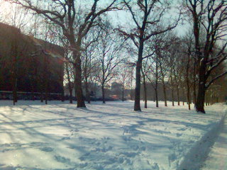 Echt mal jetzt: Sonne;)