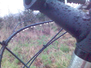 Guten Morgen