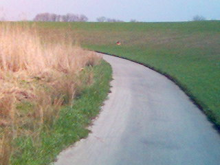 Deichradeln