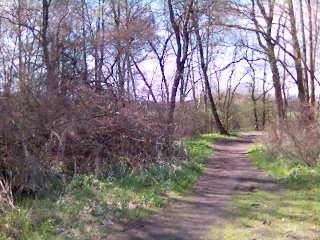 Zweiter Anlauf…