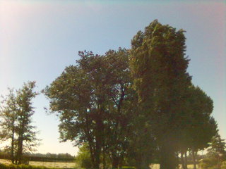 Morgens Sonne und Wind aus der…