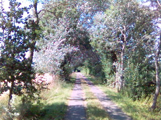 Ozonkaputt