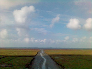 Wege bei Husum.