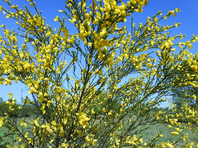 Farbe
