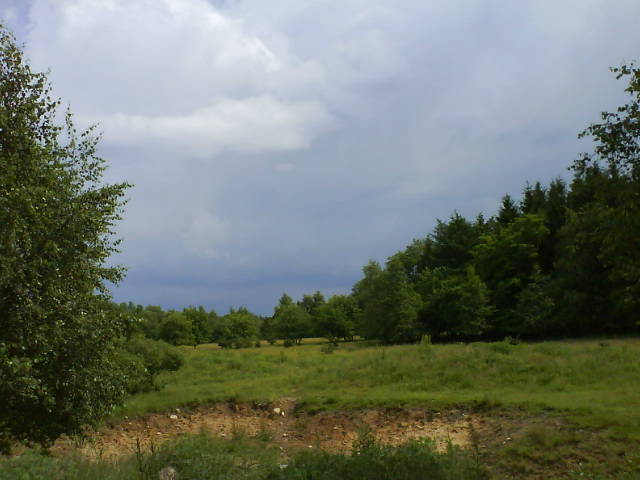 Wetter