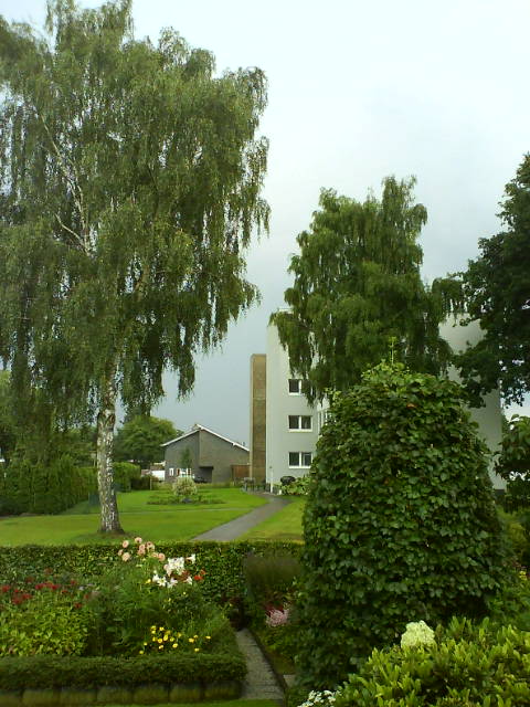 Block und Birke