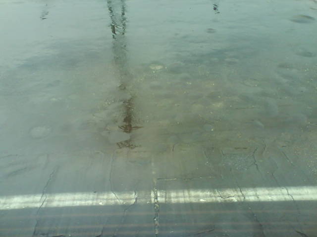 Grauwarten