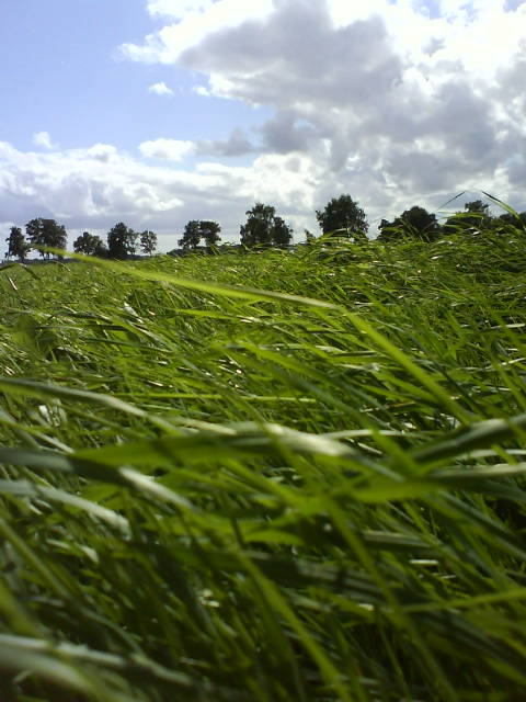 Geruch