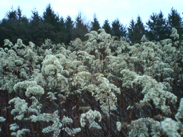 Standardrunde November 2007