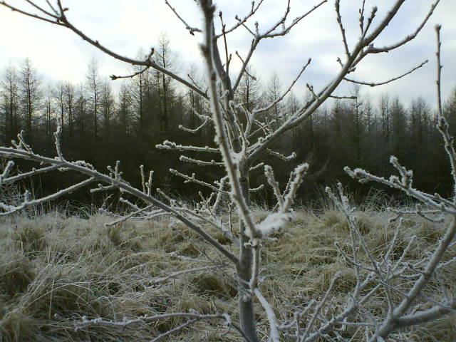 Brrrr…