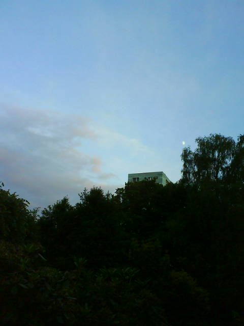 WParkRememberance