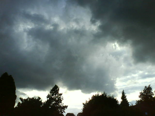Regenkopf