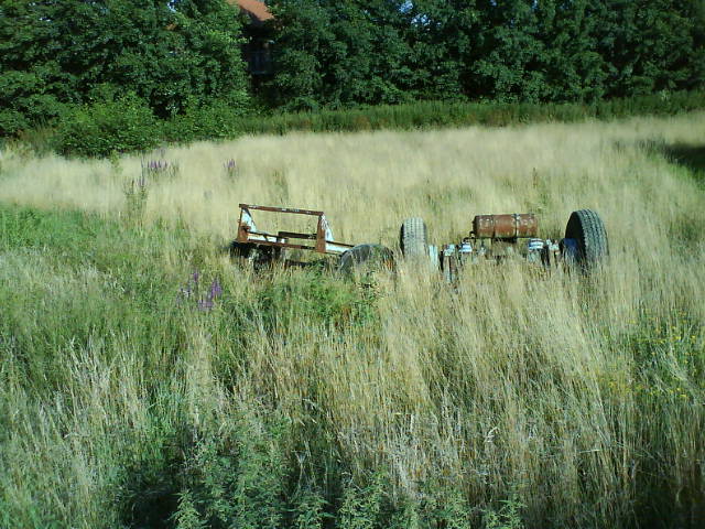 Waldrad