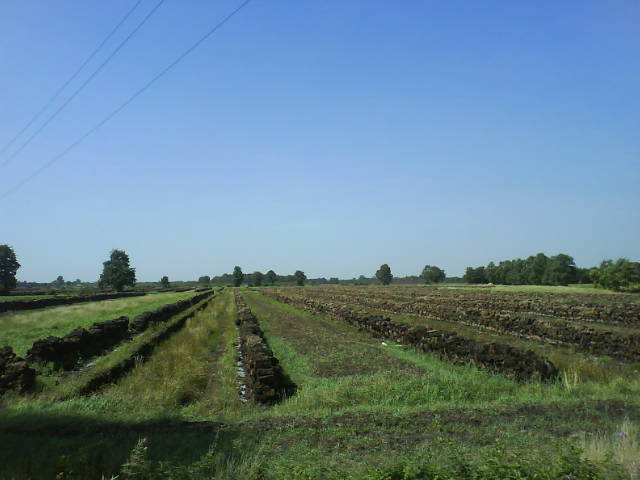 Abtorfung