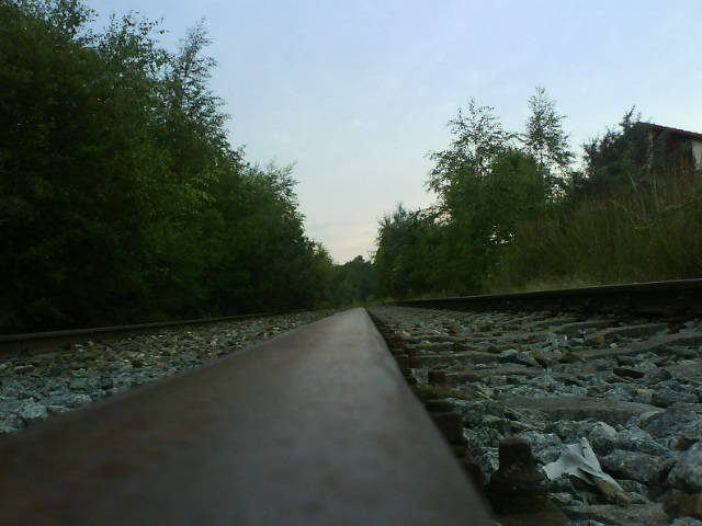 Fluchtlinie