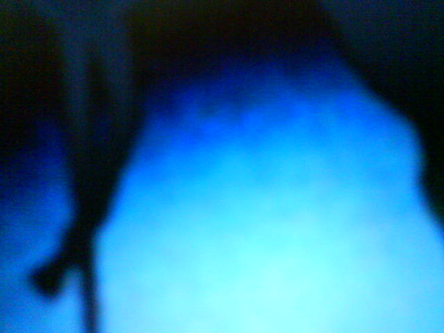 Manche werden lauter,