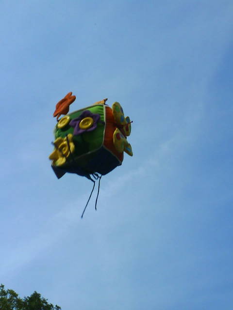 Komischer Vogel.