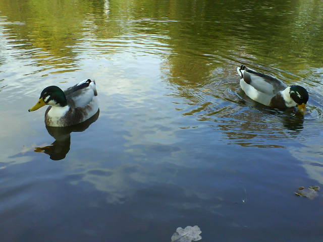 Farbverlauf