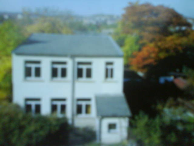 In Plauen steht ein Hinterhaus.