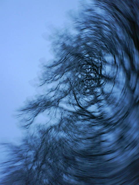 Blau, Fasel.