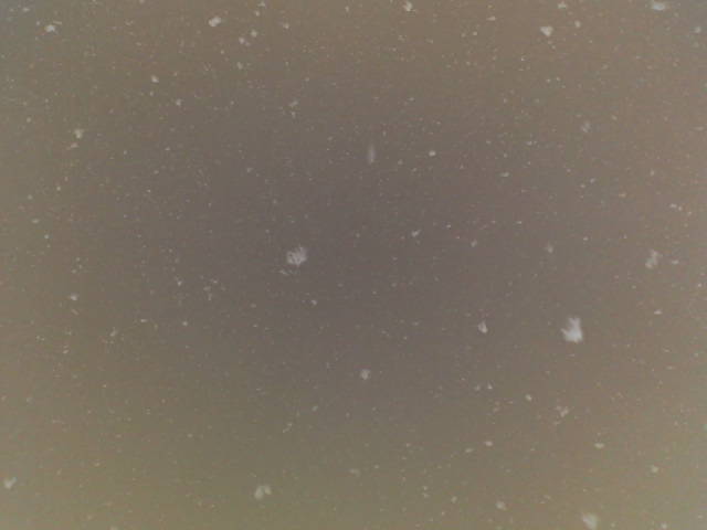Dicke Flocken heute.