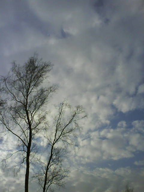Licht, Winter.