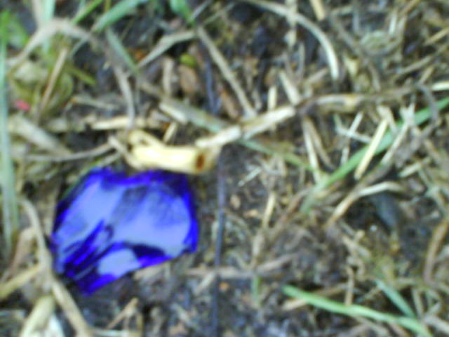Blau, roh.