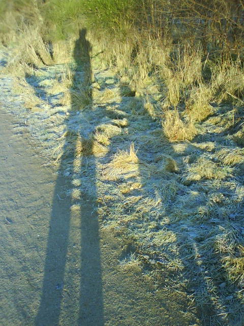 Schatten, kalt.