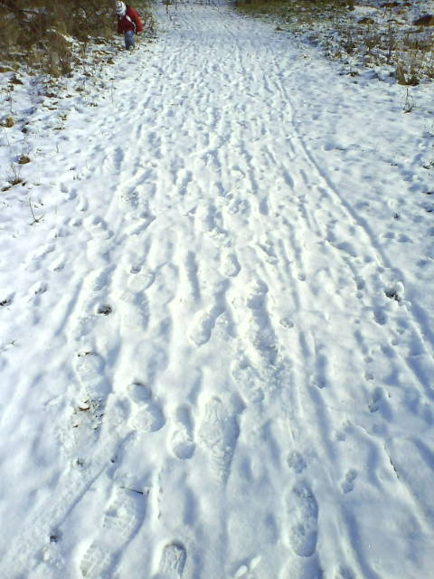 Schneeweg
