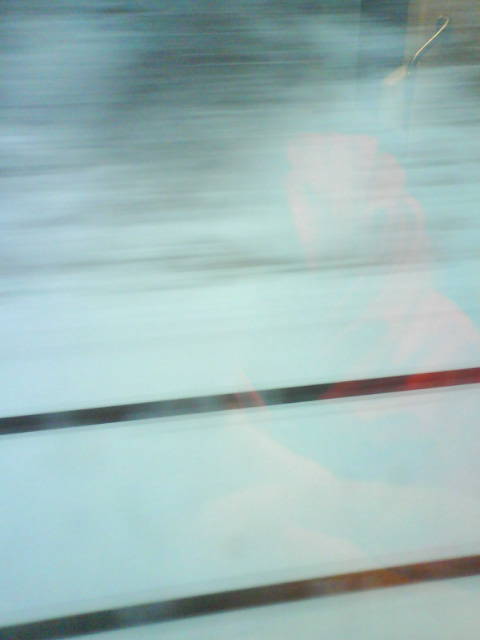 Bus oder Laufen.