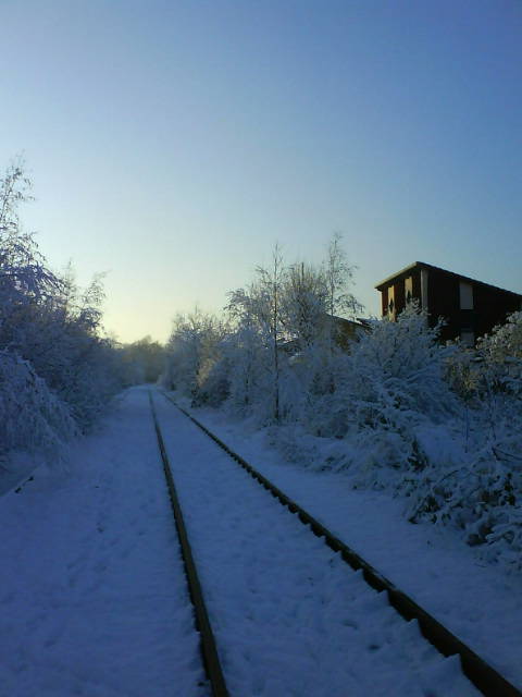 Winterfeb.