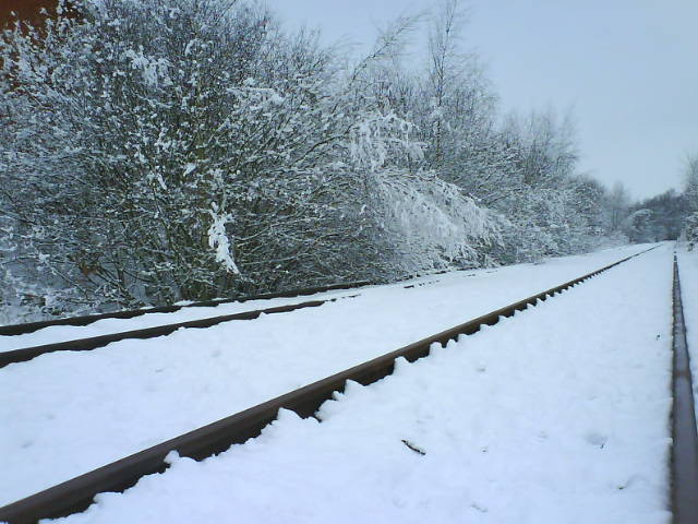 SchneeFP
