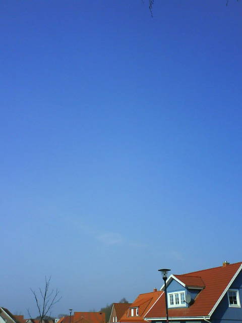 DachRotPflicht.