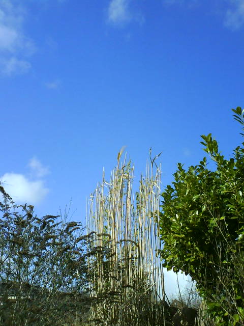 Fruehling und Winter satt.