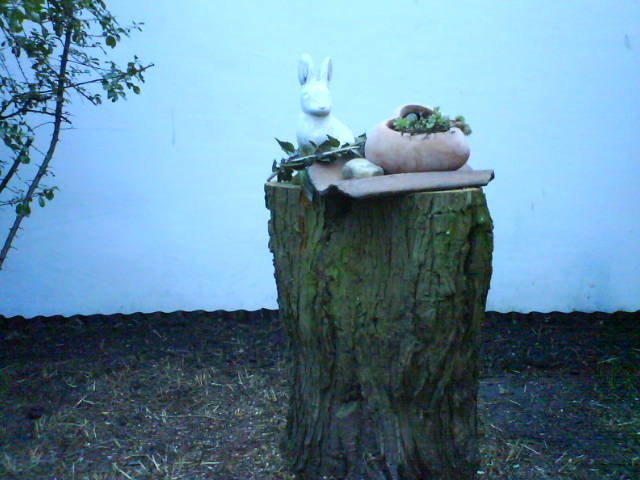 Stumpf