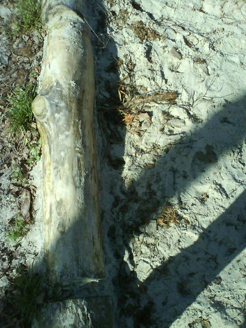 Fruehling2, Sandkiste in gross.