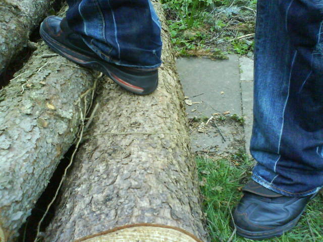 Pantashoes…