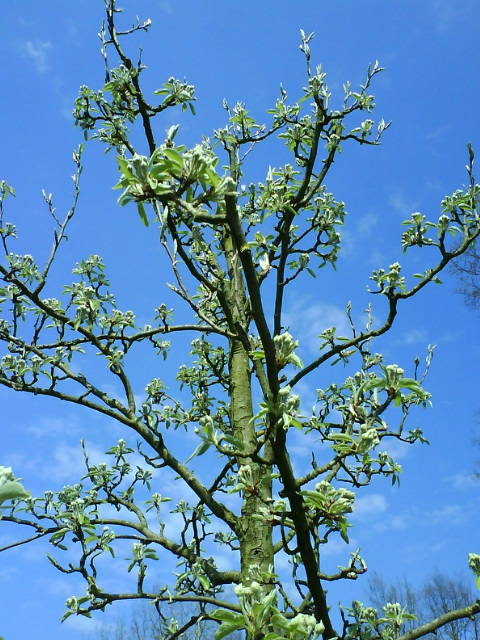 Naturzeit
