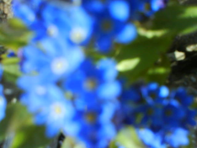 EKBlau