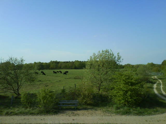 Vollsinn.
