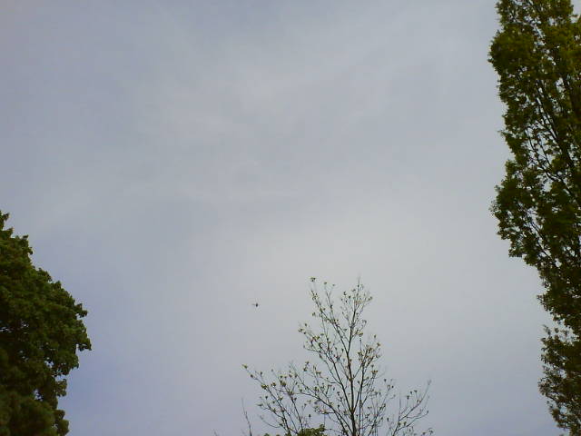 Ju52