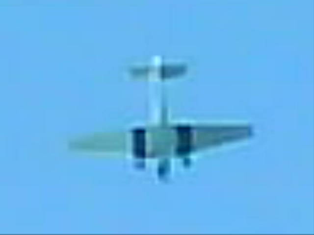 DigiThomasJu52