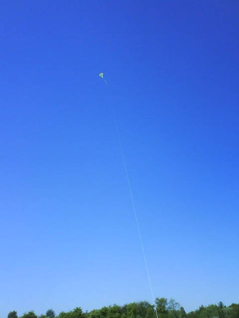 Fesselflug