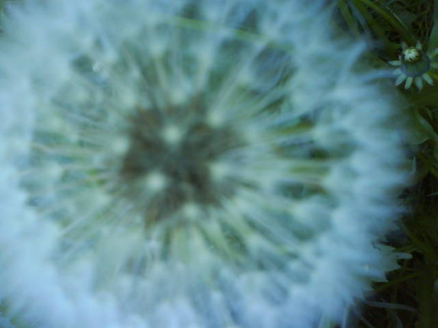 Windfragil