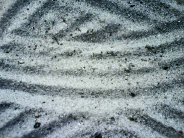 Trastsand