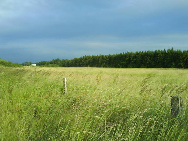 Fluglandschaft