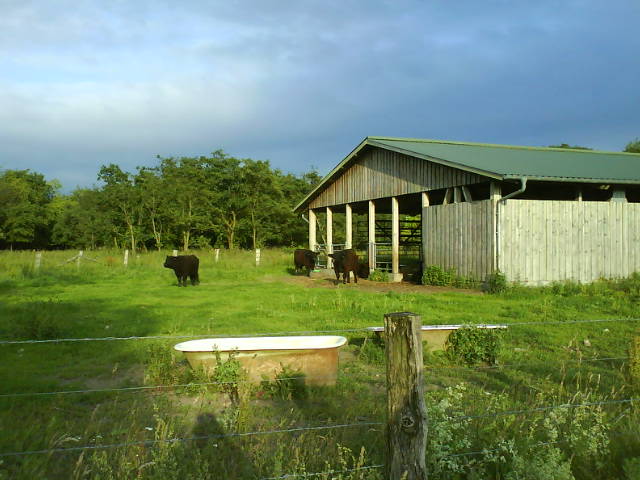 Kuhlandschaft