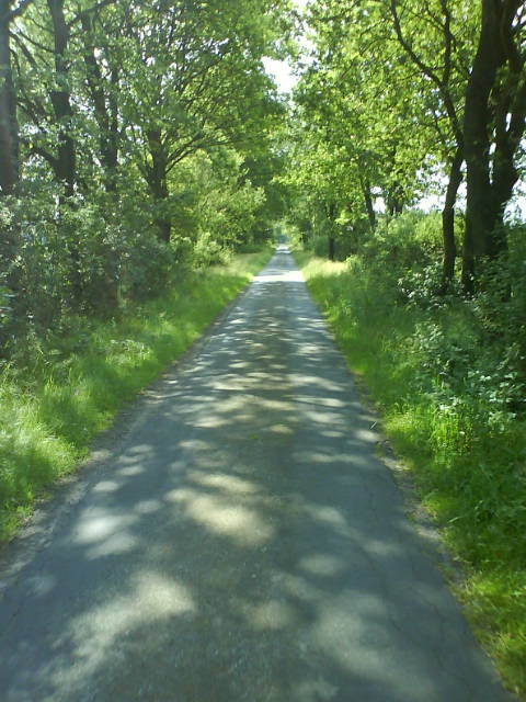 Gruentunnel