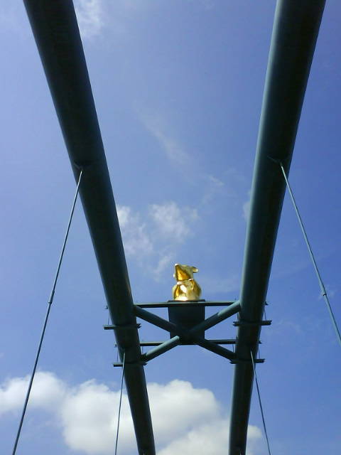 Goldcap
